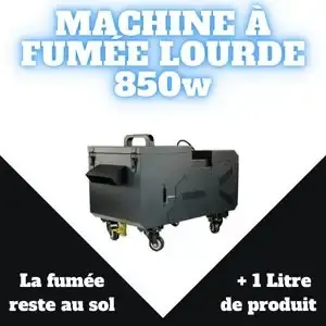 Machine à Fumée Lourde 850 W
