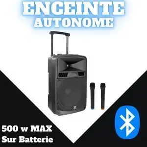 Enceinte 500w (Sur batterie) + 2 micros HF